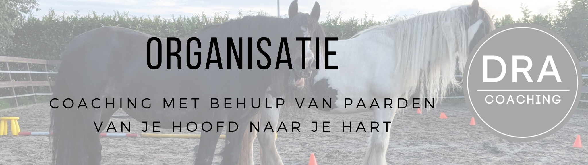 Organisatie Banner (2048 x 575 px)