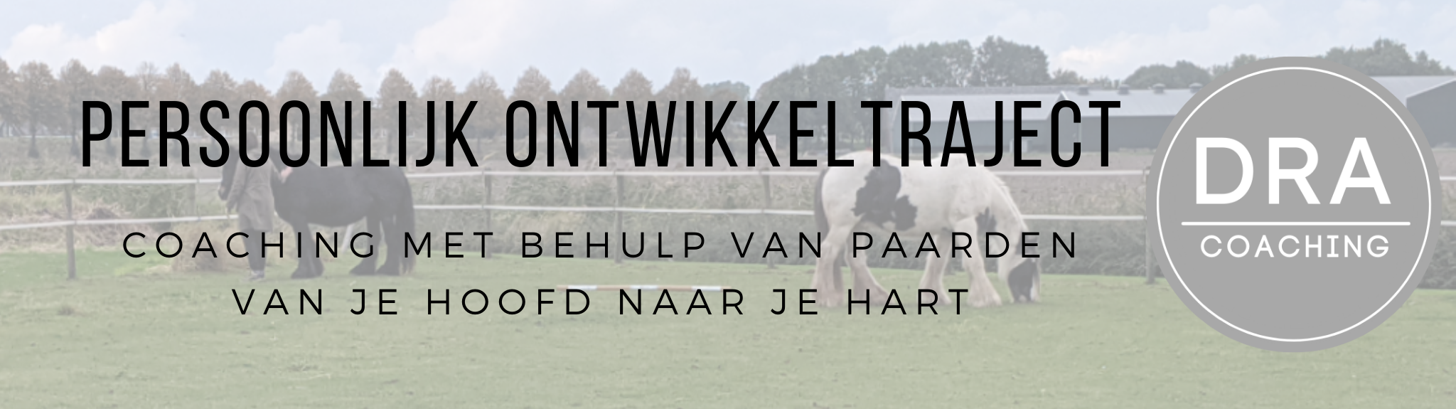 Persoonlijk ontwikkeltraject Banner (2048 x 575 px) (1)