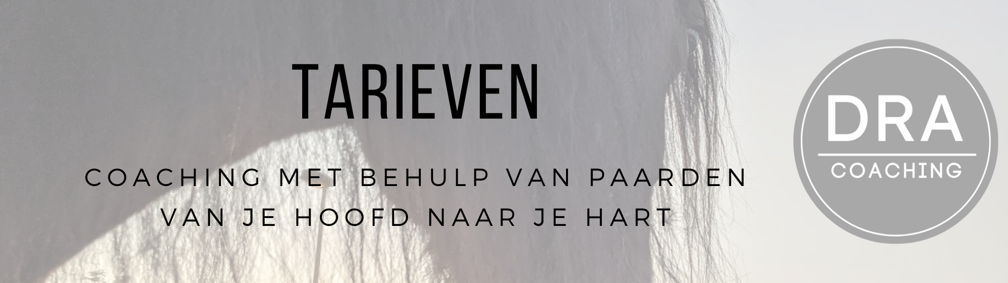 Tarieven Banner (2048 x 575 px) (1)