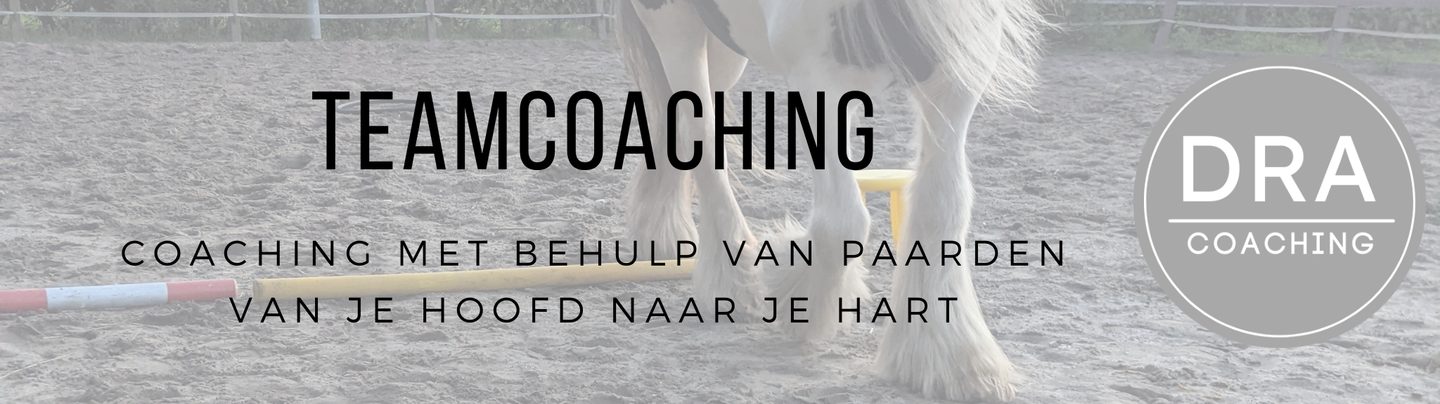 Teamcoaching Banner (2048 x 575 px)